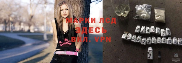 ГАЛЛЮЦИНОГЕННЫЕ ГРИБЫ Арсеньев