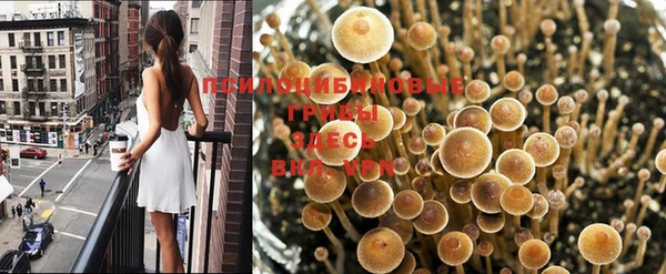 apvp Баксан