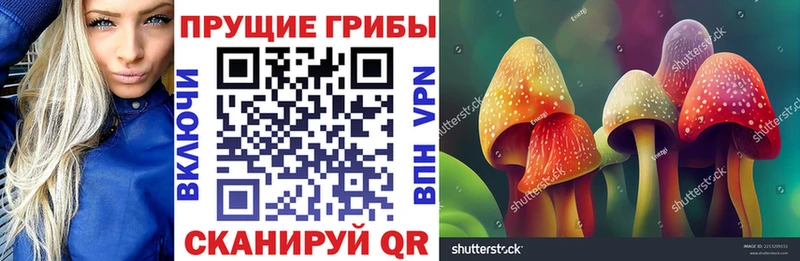 Псилоцибиновые грибы Cubensis  Прохладный 