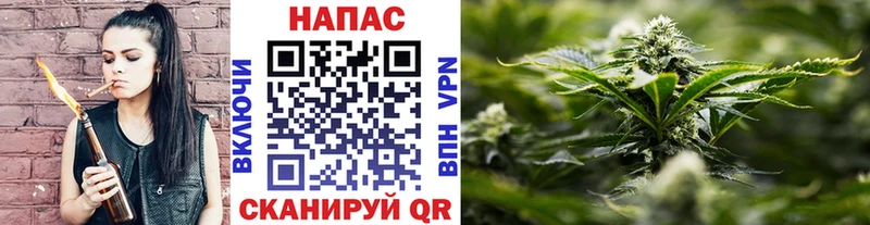 Канабис White Widow  Прохладный 